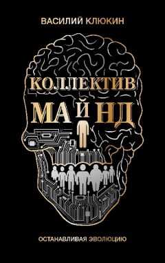 Василий Клюкин - Коллектив Майнд