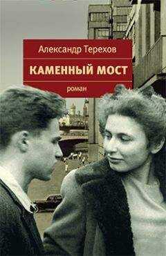 Александр Терехов - Каменный мост