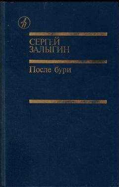 СЕРГЕЙ ЗАЛЫГИН - После бури. Книга первая