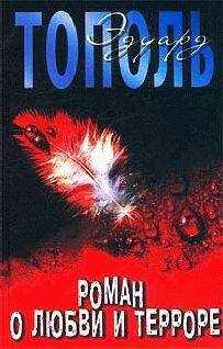 Эдуард Тополь - Роман о любви и терроре, или Двое в «Норд-Осте»