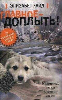 Элизабет Хайд - Главное - доплыть