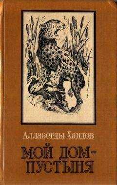 Аллаверды Хаидов - Мой дом - пустыня