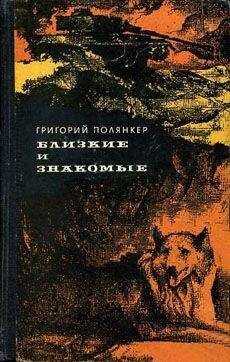Григорий Полянкер - Городской сумасшедший