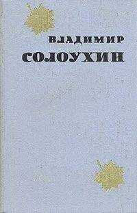 Владимир Солоухин - Варшавские этюды