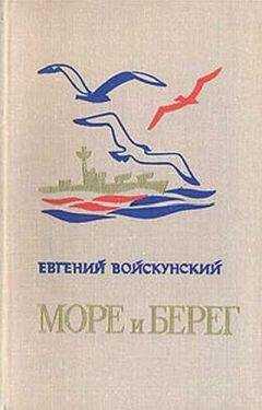 Евгений Войскунский - Снегопад