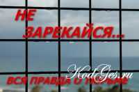 Владимир Ажиппо - Не зарекайся