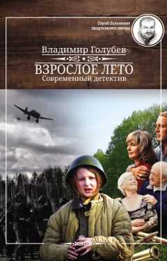 Владимир Голубев - Взрослое лето