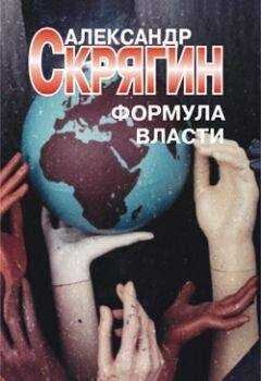 Александр Скрягин - Формула власти