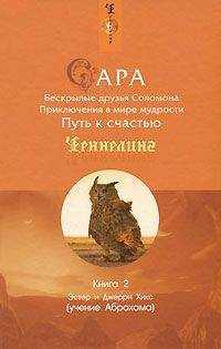 Эстер Хикс - Сара. Книга 2. Бескрылые друзья Соломона