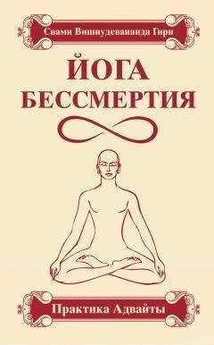Свами Гири - Йога бессмертия. Практика адвайты