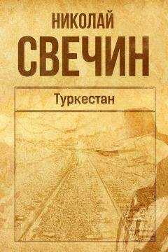 Николай Свечин - Туркестан