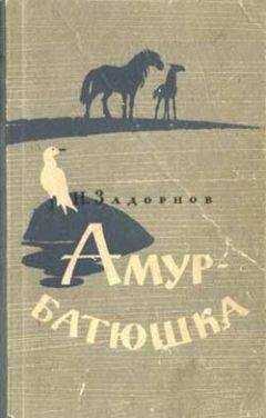 Николай Задорнов - Амур-батюшка