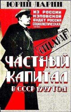 Юрий Ларин - Частный капитал в СССР