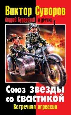 Дмитрий Хмельницкий - Союз звезды со свастикой. Встречная агрессия (сборник)