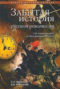 Дмитрий Калюжный - Забытая история русской революции. От Александра I до Владимира Путина
