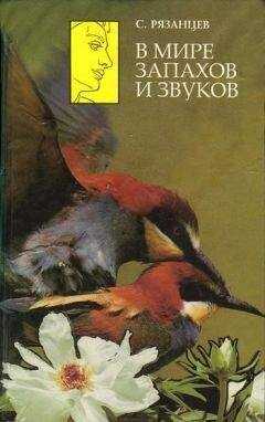 Сергей Рязанцев - В мире запахов и звуков