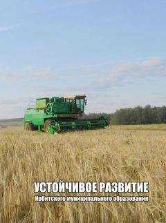 Александр Камянчук - УСТОЙЧИВОЕ РАЗВИТИЕ ИРБИТСКОГО МУНИЦИПАЛЬНОГО ОБРАЗОВАНИЯ Часть вторая
