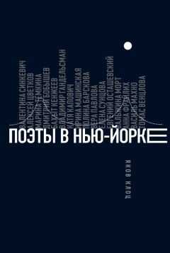 Яков Клоц - Поэты в Нью-Йорке. О городе, языке, диаспоре