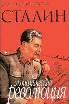 Д. Верхотуров - Сталин Экономическая революция