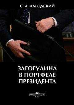 Сергей Лагодский - Загогулина в портфеле президента