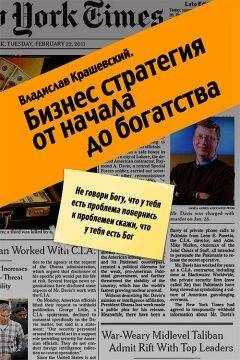 Владислав Крашевский - Бизнес-стратегия от начала до богатства
