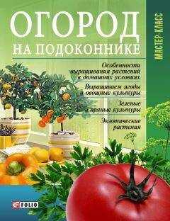 Леонид Онищенко - Огород на подоконнике