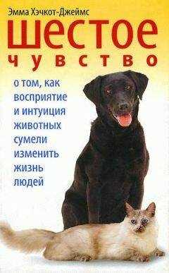 Эмма Хэчкот-Джеймс - Шестое чувство. О том, как восприятие и интуиция животных сумели изменить жизнь людей