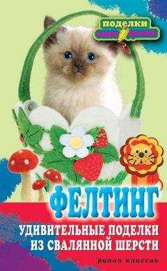Вера Преображенская - Фелтинг. Удивительные поделки из свалянной шерсти