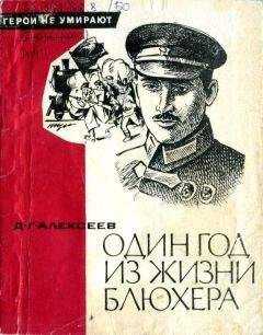 Давид Алексеев - Один год из жизни Блюхера