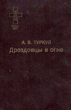 Антон Туркул - Дроздовцы в огне