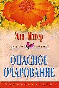 Энн Мэтер - Опасное очарование