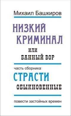 Михаил Башкиров - Низкий криминал, или Банный вор
