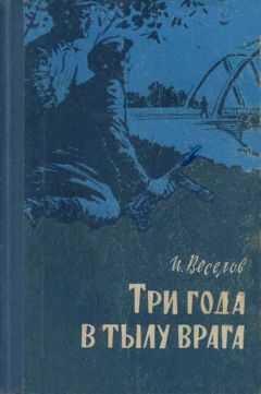 Илья Веселов - Три года в тылу врага