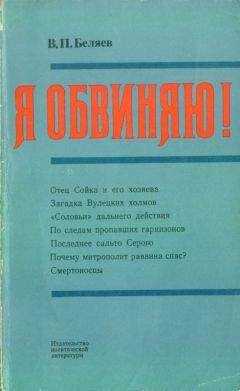 Владимир Беляев - Я обвиняю!