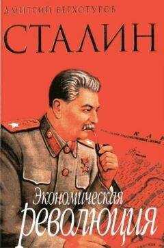 Д.Н. Верхотуров - Сталин Экономическая революция