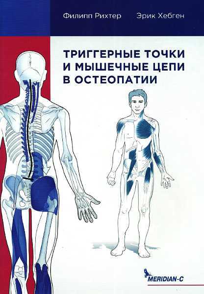 Триггерные точки и мышечные цепи в остеопатии - Филипп Рихтер