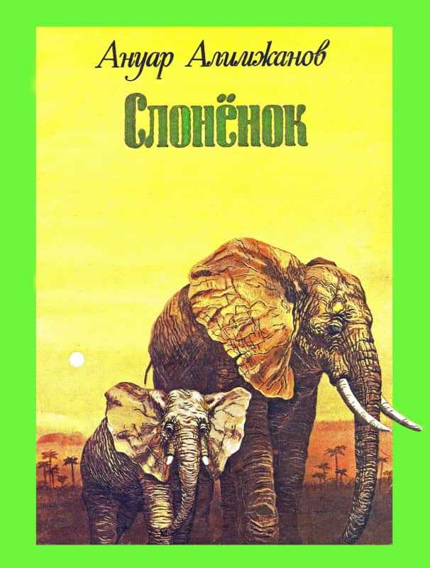 Слоненок - Ануар Турлыбекович Алимжанов