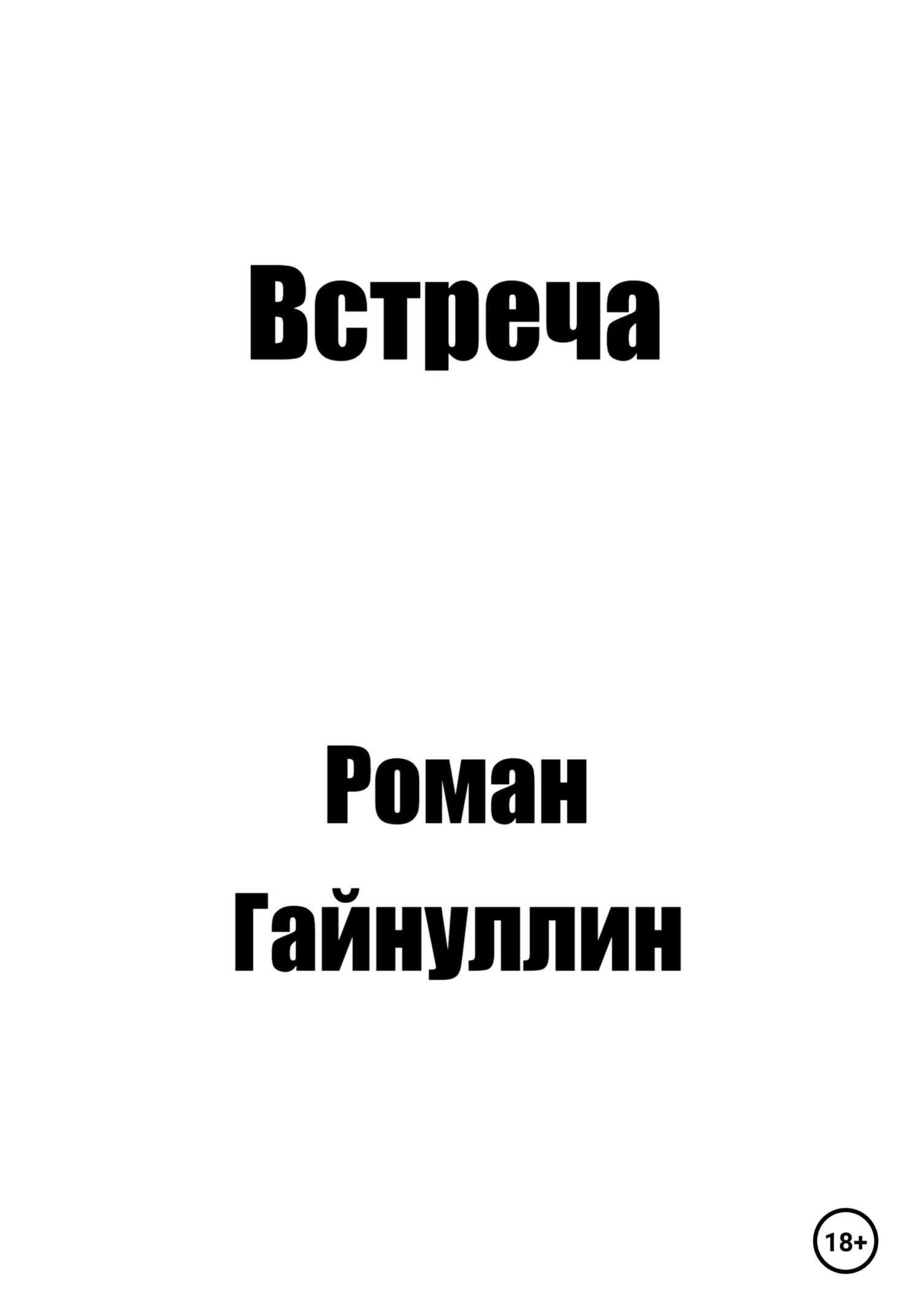 Встреча - Роман Вадимович Гайнуллин