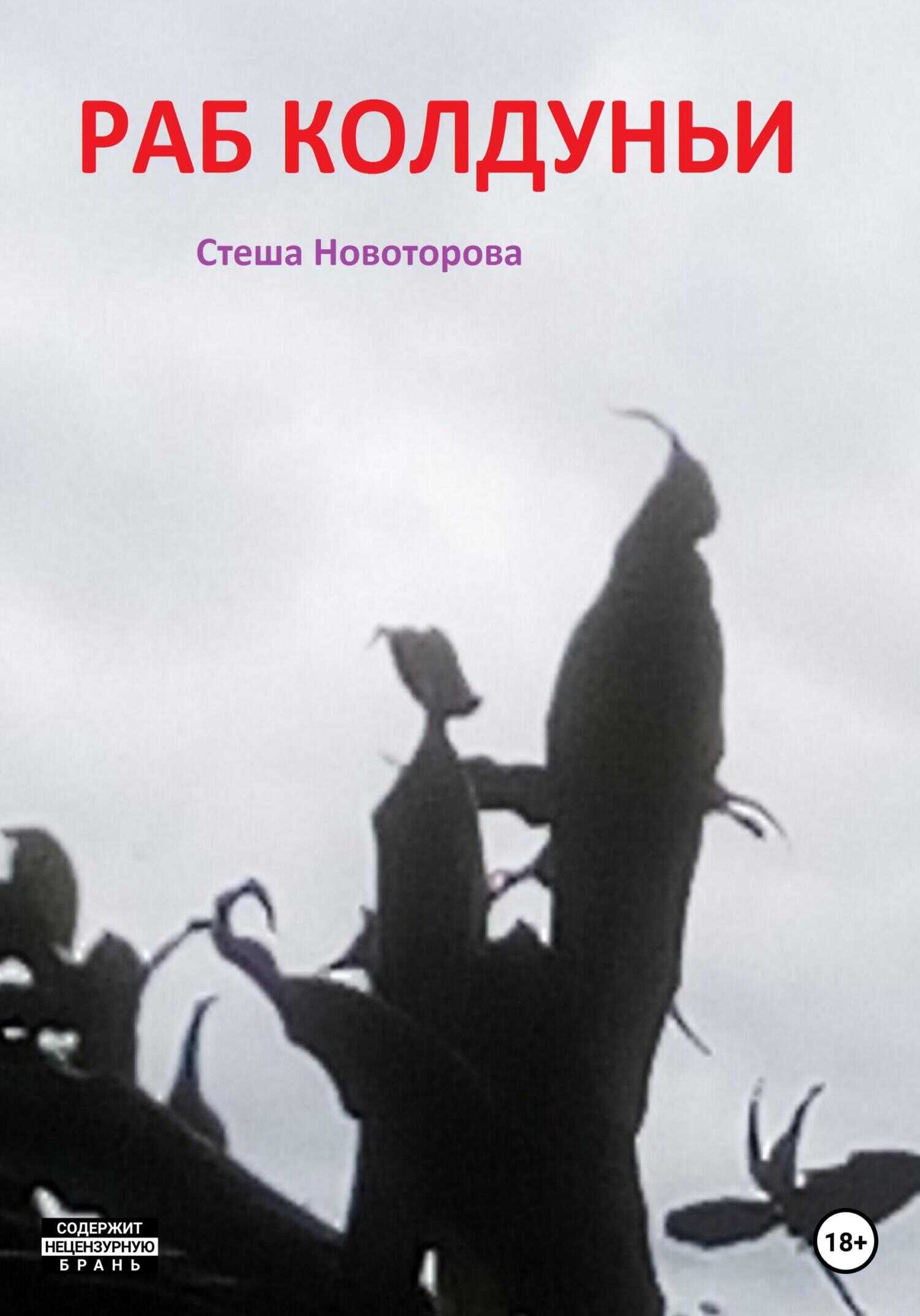 Раб колдуньи - Стеша Новоторова