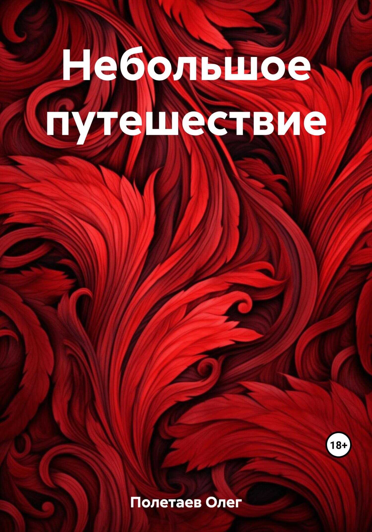 Небольшое путешествие - Олег Юрьевич Полетаев