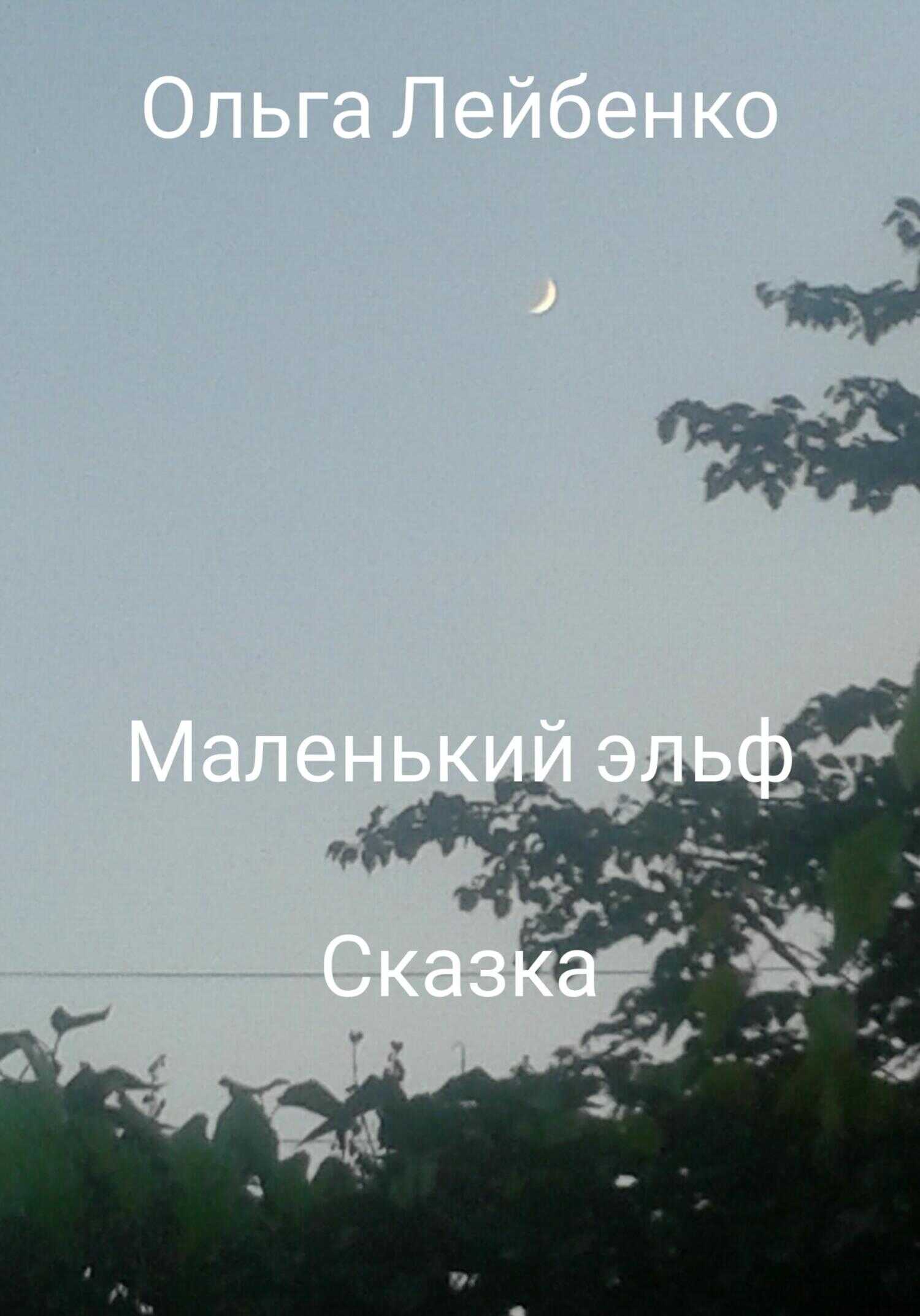 Маленький эльф - Ольга Лейбенко