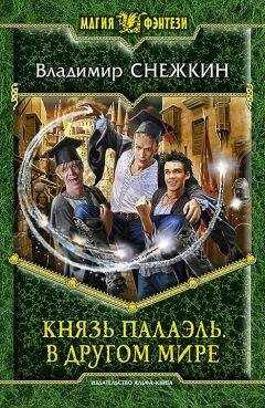 Владимир Снежкин - Князь Палаэль. В другом мире