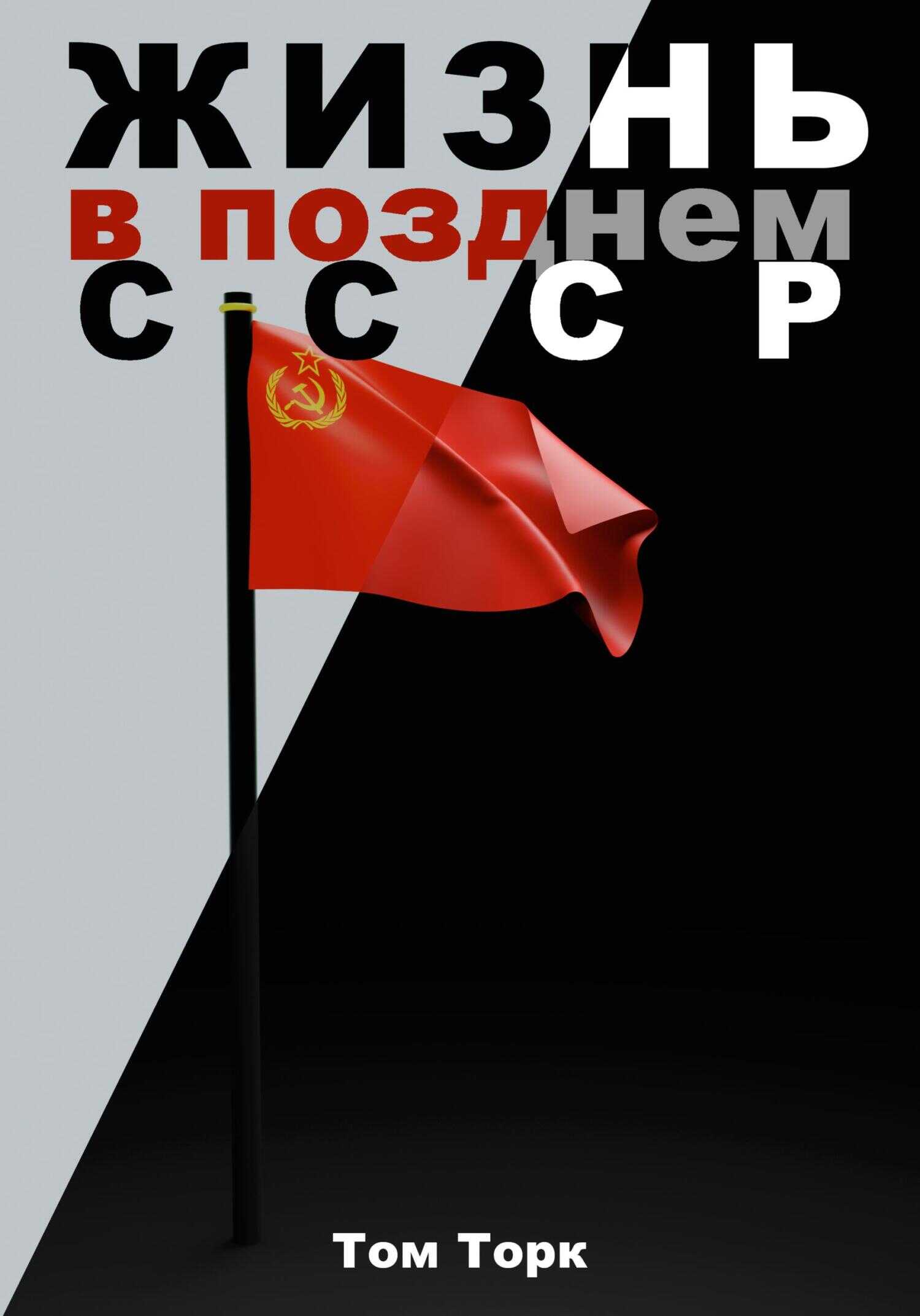 Жизнь в позднем СССР - Том Торк