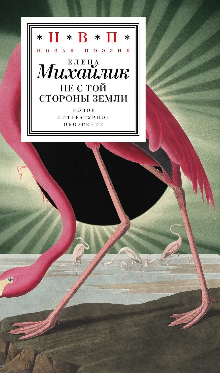 Не с той стороны земли - Елена Юрьевна Михайлик