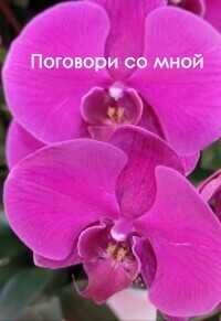 Поговори со мной  - Виолетта Елисеева