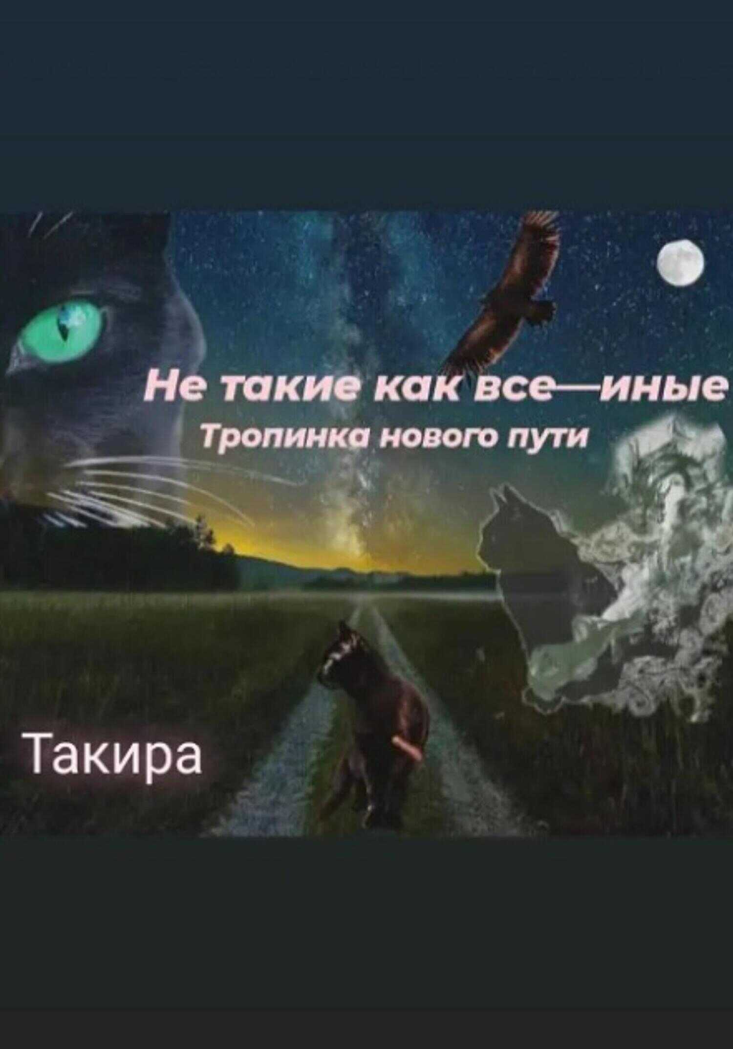Не такие, как все – иные. Тропинка нового пути - Такира