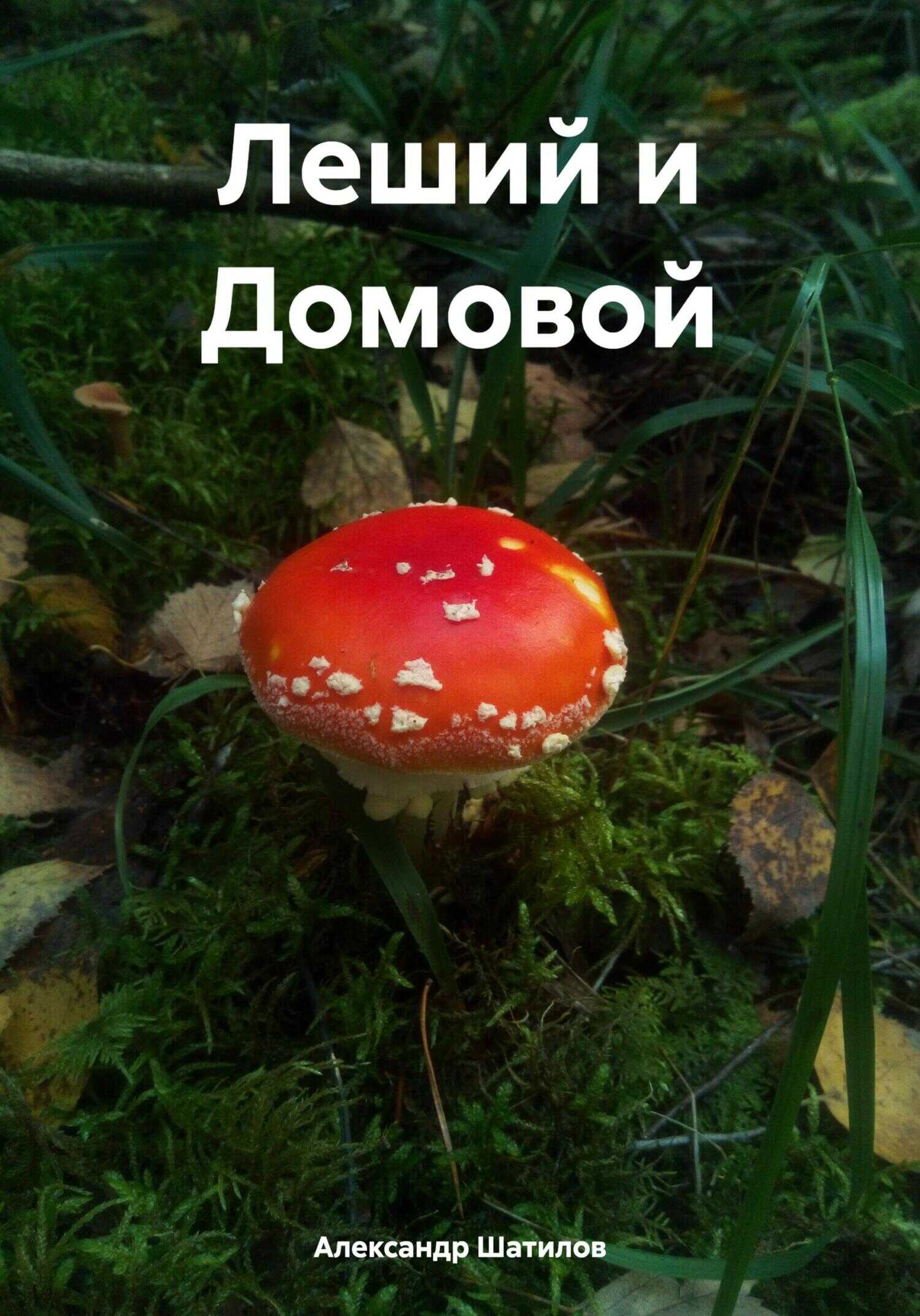 Леший и Домовой - Александр Шатилов