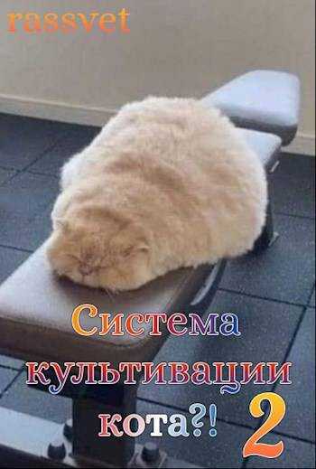 Система культивации кота 2 - rassvet