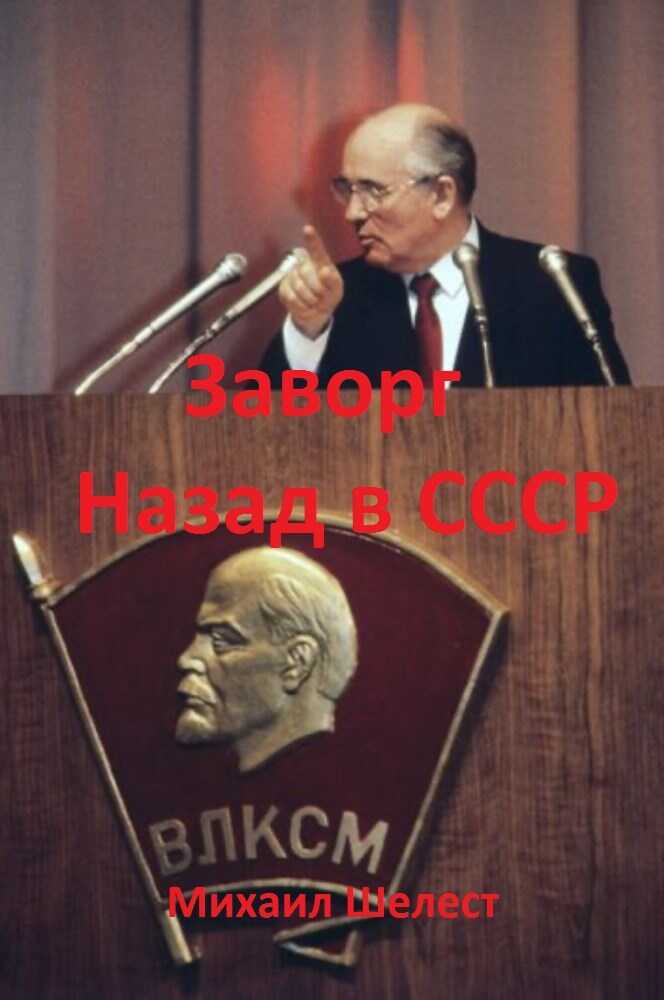 Заворг. Назад в СССР. - Михаил Васильевич Шелест
