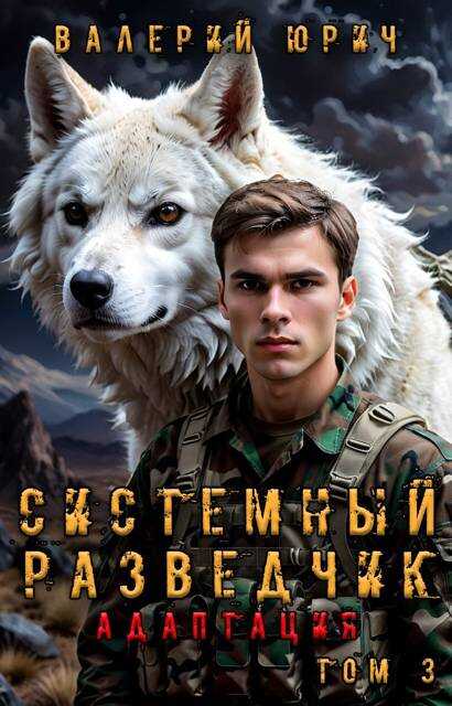 Системный разведчик. Адаптация. Том 3 - Валерий Юрич